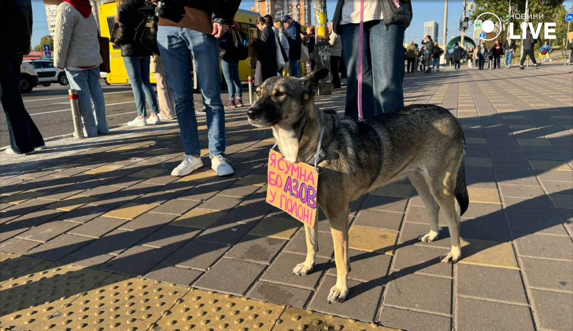акція на підтримку азову