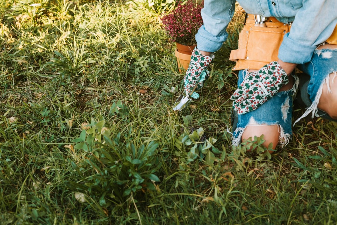 Какие важные дела необходимо сделать в саду в сентябре – 10 важнейших