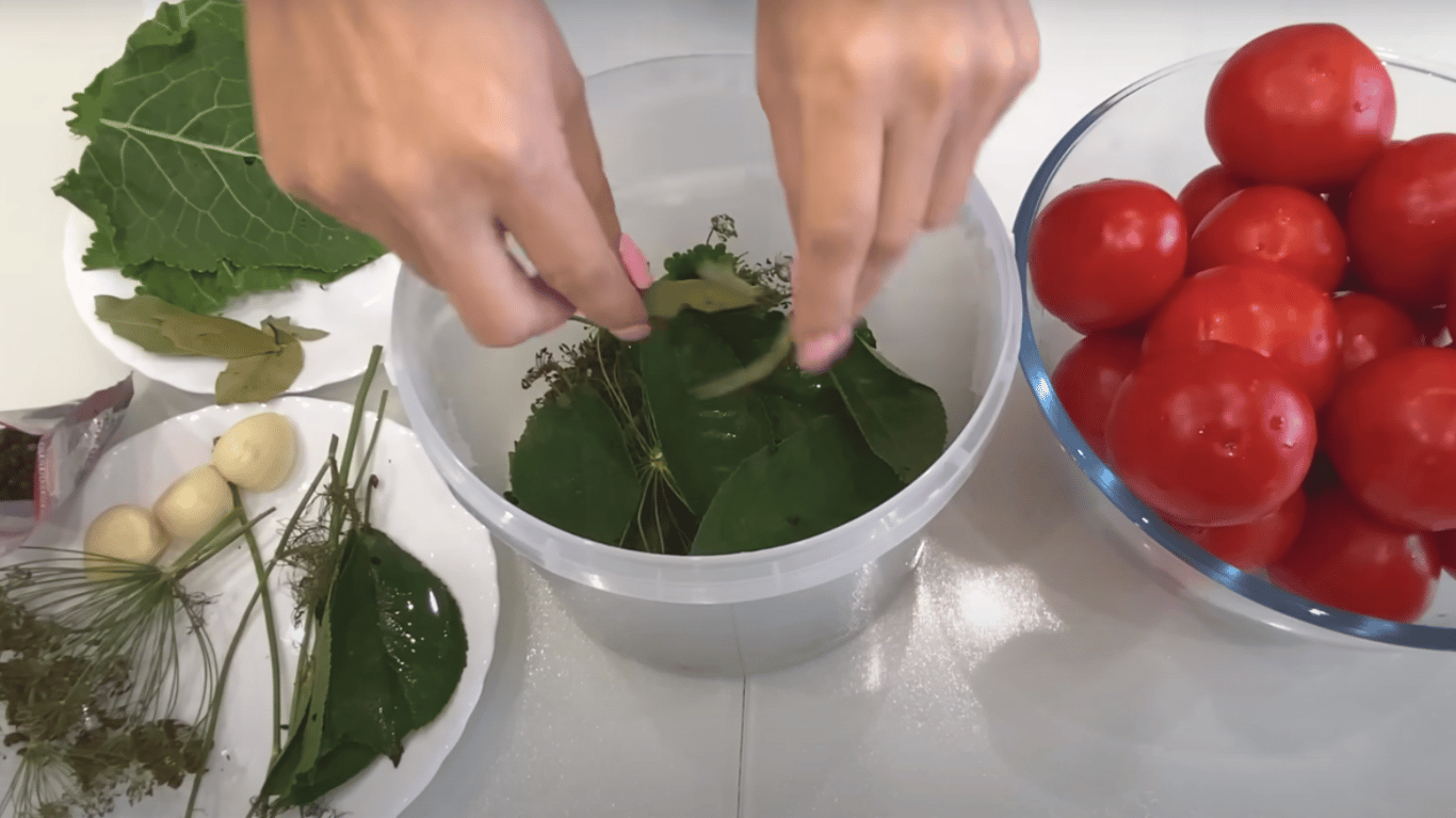 квашені помідори