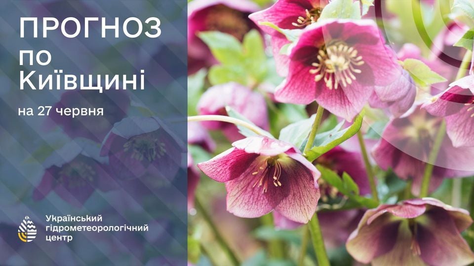 Прогноз погоды на 27 июня. Фото: Укргидрометцентр