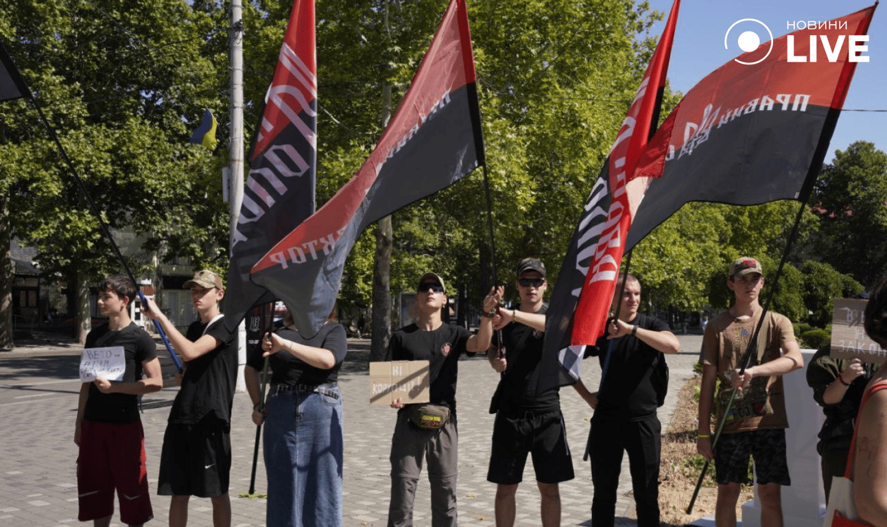 Протестувальники у Миколаєві з табличками з вимогами ветувати закон №12414