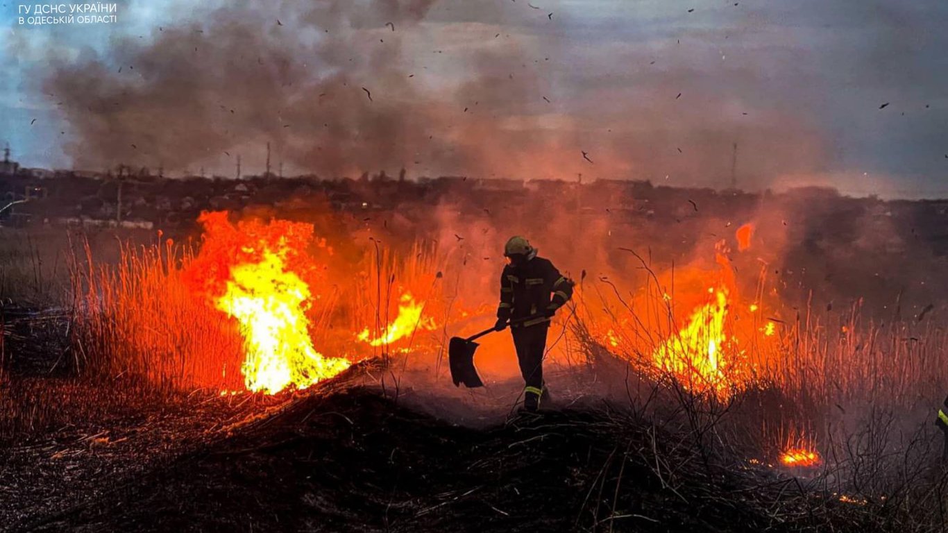 В Одесской области уничтожено более 50 гектаров земли: в чем причина