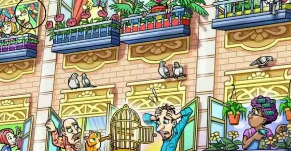 Сонячний день був раптово зіпсований — допоможіть сусіду знайти папугу-втікача - фото 2