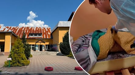 Таргани, гниль, та ліжка з палет: Лубінець показав "Артек" на Закарпатті - 285x160