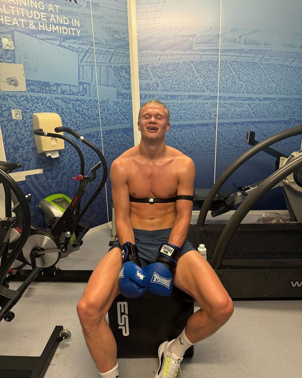 Эрлинг Холанн