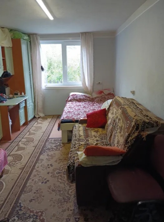 Как выглядит дом в Карпатах, который продают за 15 000 долларов (фото) - фото 18