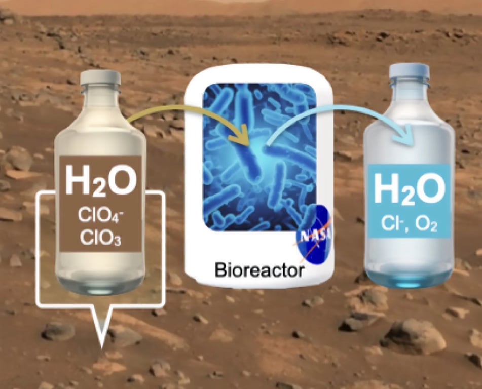Воду на Марсе можно сделать пригодной для питья с помощью земных существ.