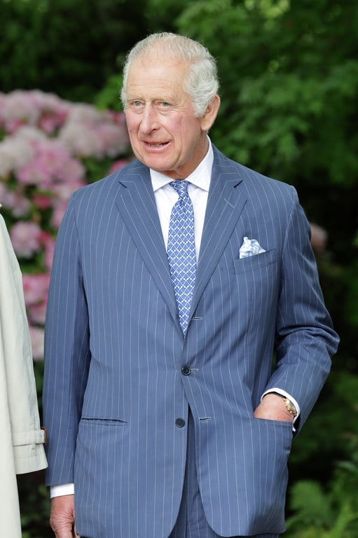Король Чарльз. Фото: Reuters