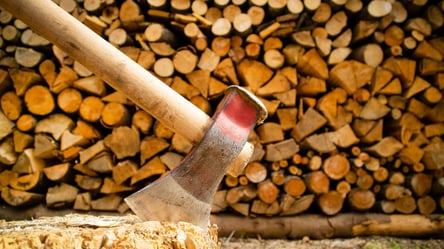 Як складати дрова на зиму, щоб вони не зіпсувалися - 285x160