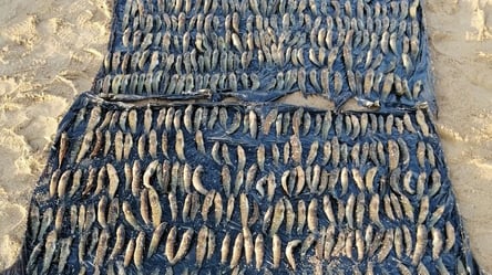 На Одесчине задержали рыбного браконьера: какое наказание грозит - 285x160