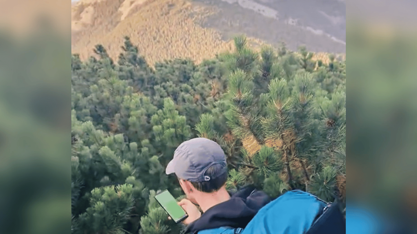 Румуни бігають — відео про двох хлопців на ялині, які заблукали в горах