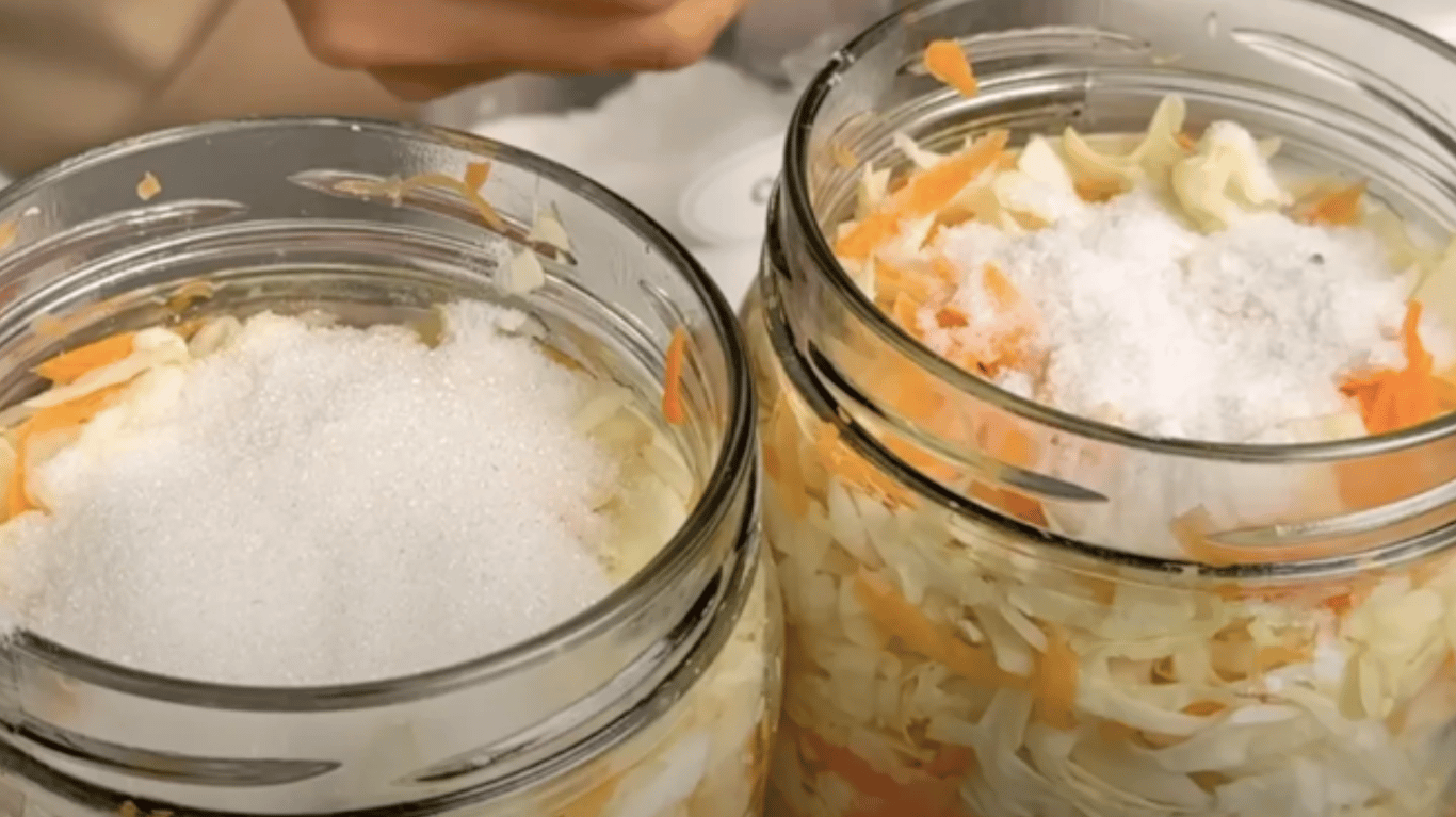 квашена капуста