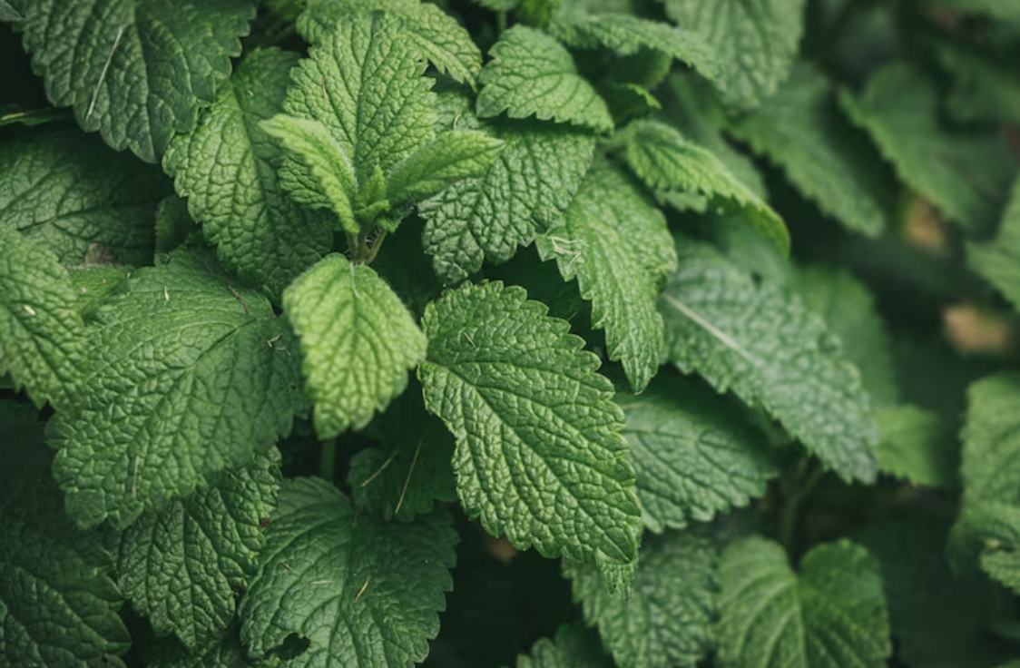 Аромат, що буде мати особливий шлейф