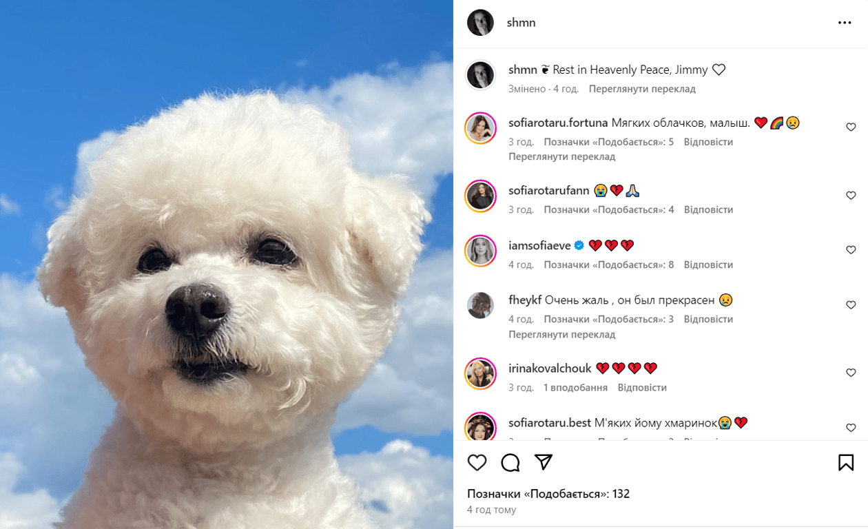 Померла собака Анатолія Євдокименка