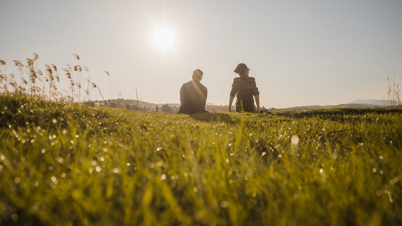 Аренда земли — какую ответственность несет наниматель за порчу участка в 2025 году