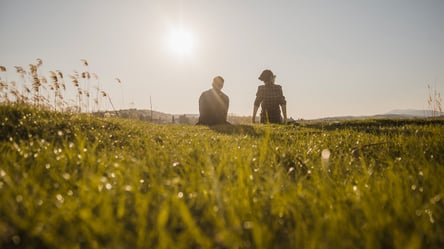 Аренда земли — за что могут оштрафовать нанимателя в 2025 году - 285x160