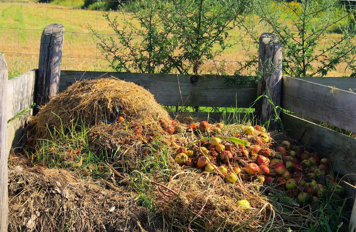 Компостная яма