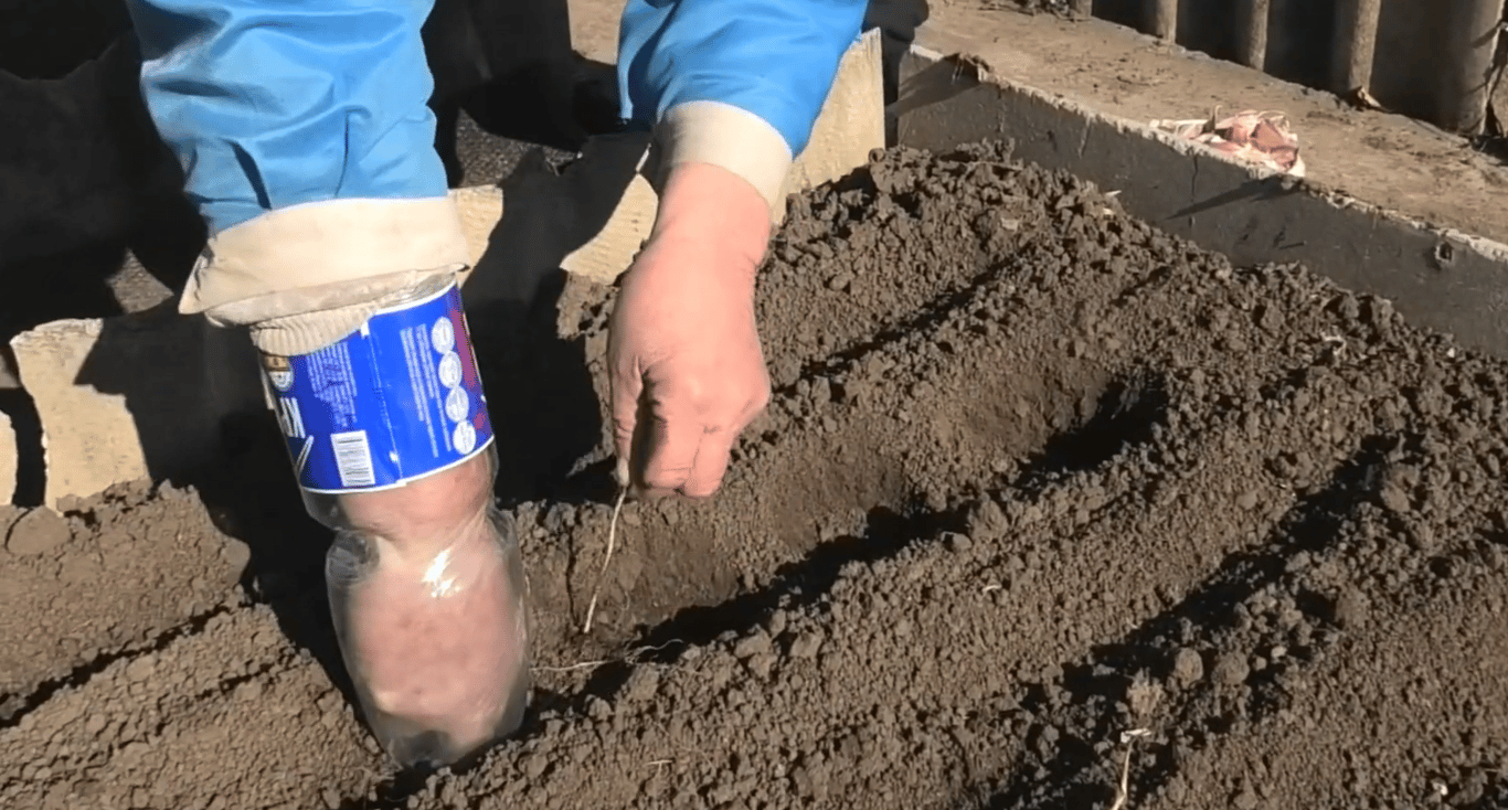 Пластиковая бутылка