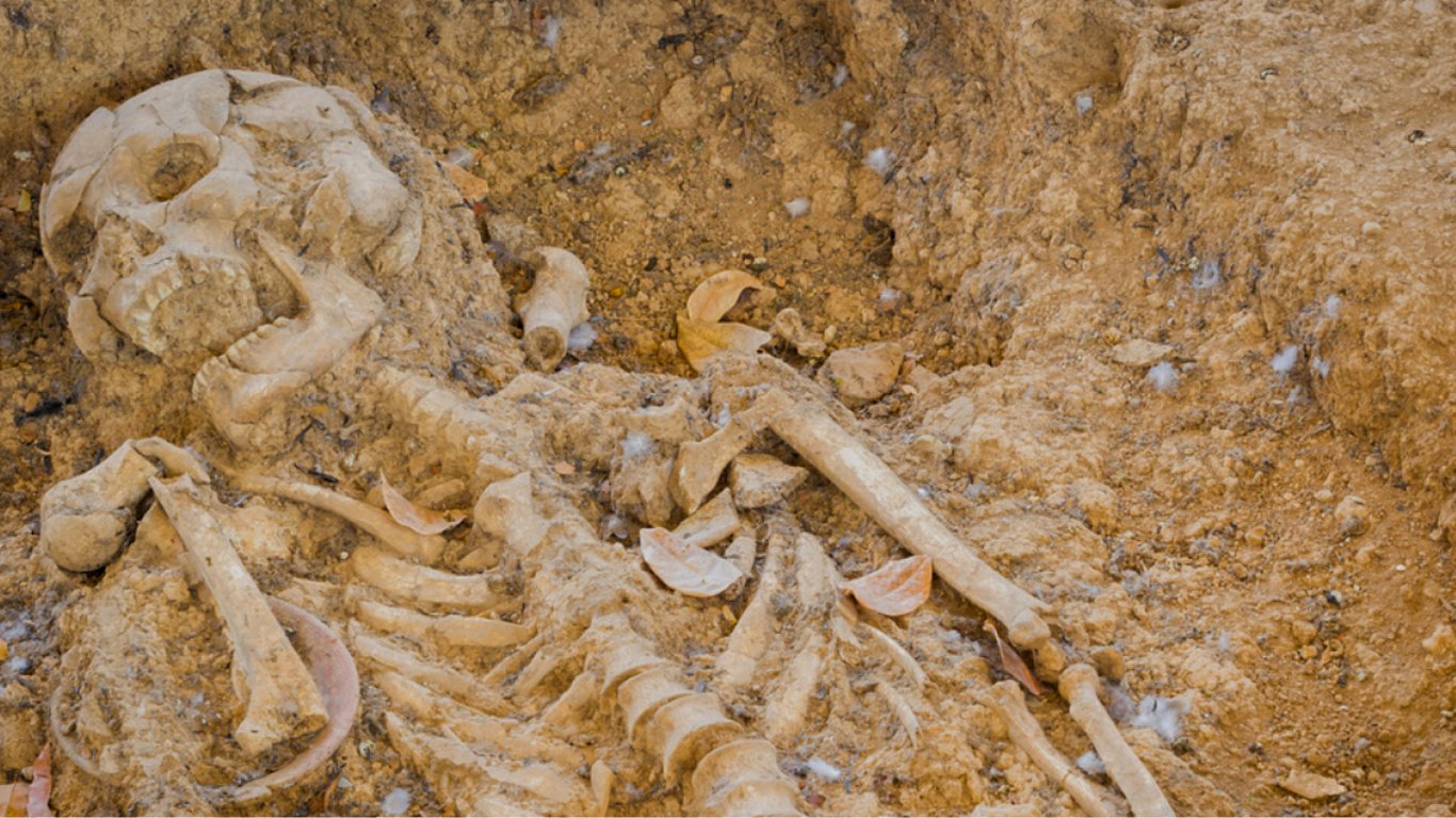 Тисячі скелетів підказали, як розвиток людства вплинув на рівень насильства