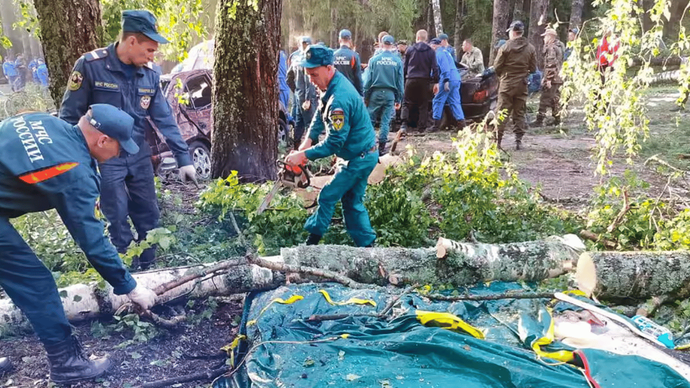 В РФ погибли 8 человек из-за падения деревьев на лагерь с людьми