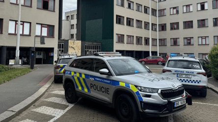 В Чехии нашли мертвой 22-летнюю украинку — что известно - 285x160