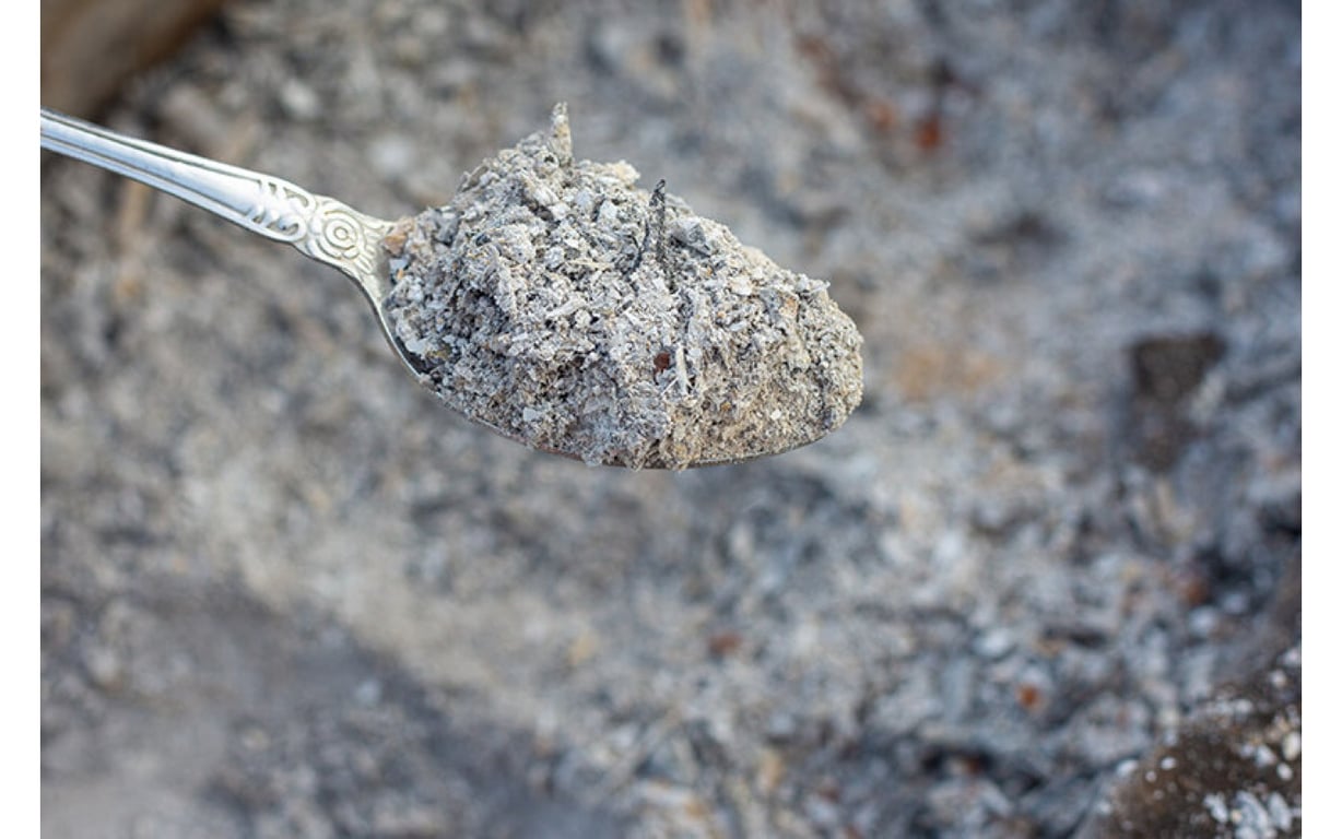 Які рослини не можна підживлювати попелом — список та поради садівників