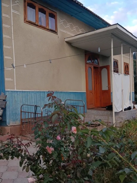 Как выглядит дом в Карпатах, который продают за 15 000 долларов (фото) - фото 15