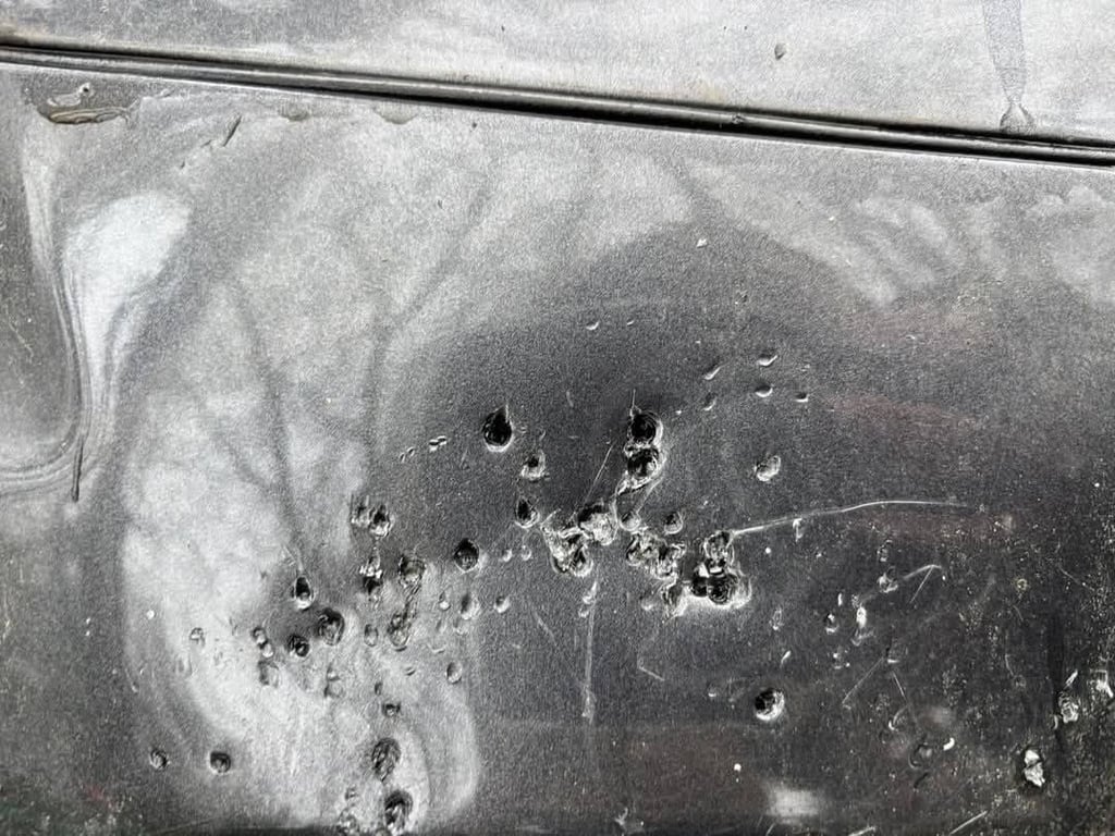 В Одесі пошкодили авто зоозахисниці Яни Тітаренко — подробиці - фото 3