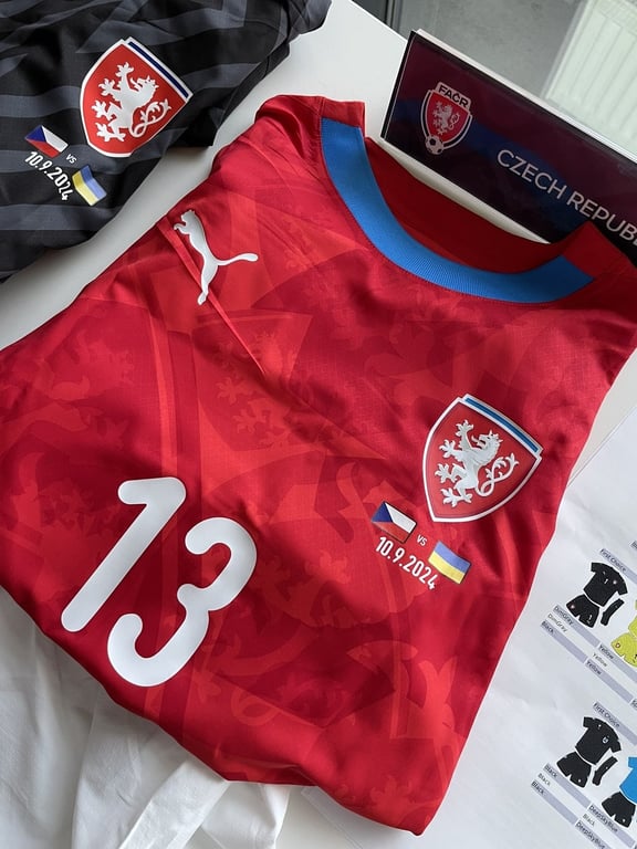 Матч Чехия - Украина