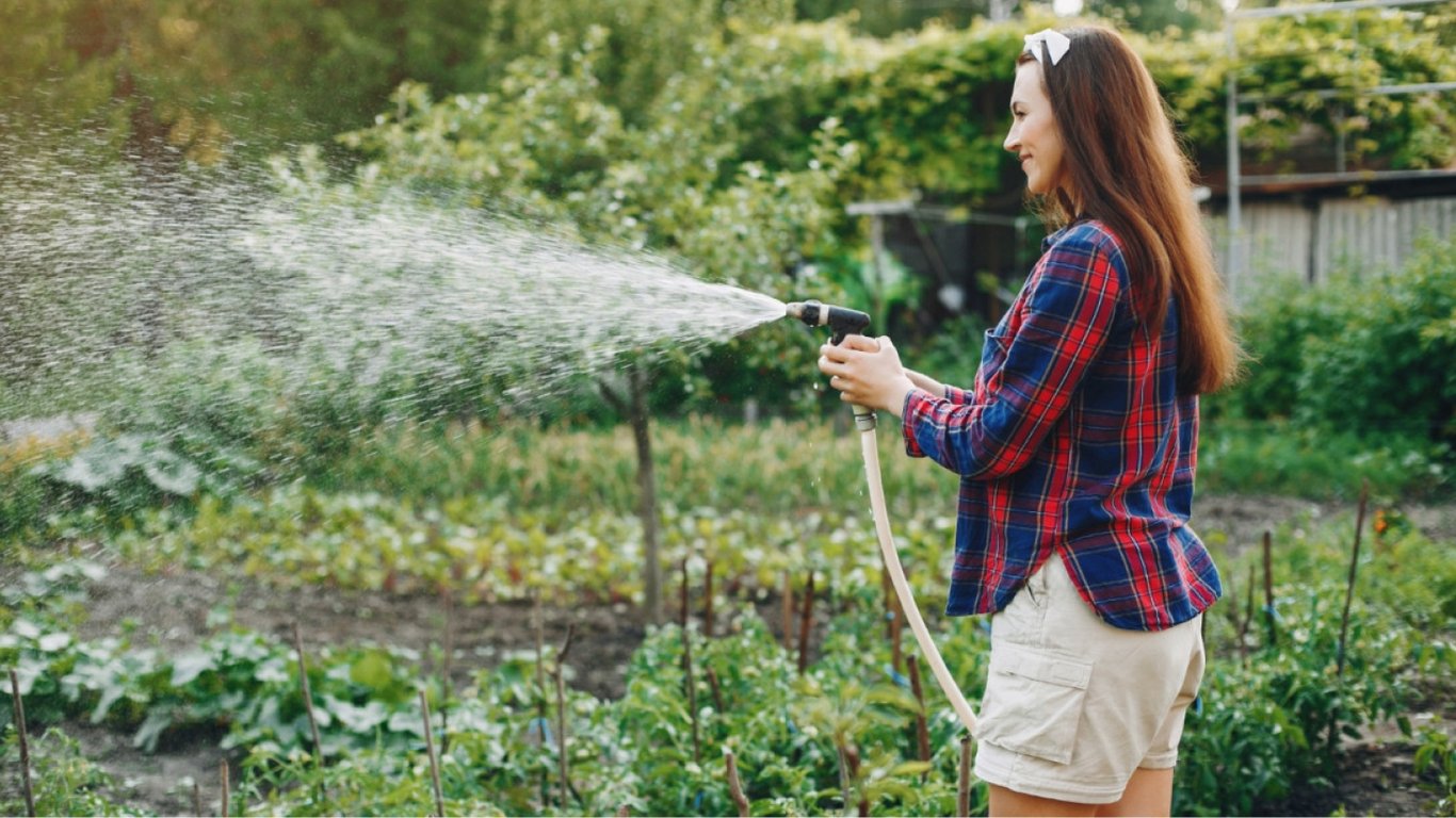 Как поливать огород летом в жару — правила и полезные советы для щедрого урожая