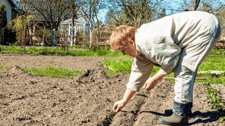 Місячний посівний календар на квітень 2026: які дати урожайні - 290x160