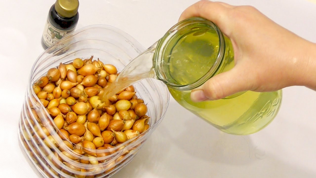 Основные способы замачивания лука перед посадкой