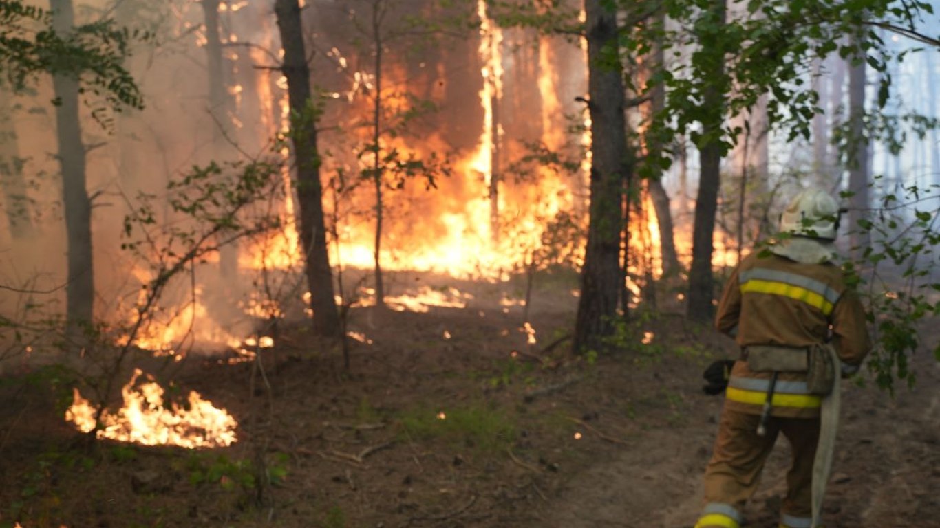 В Одесской области объявлена пожарная опасность: сколько она будет длиться
