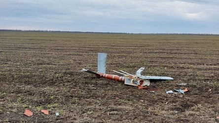 В Николаевской области украинские военные сбили необычный вражеский дрон - 285x160
