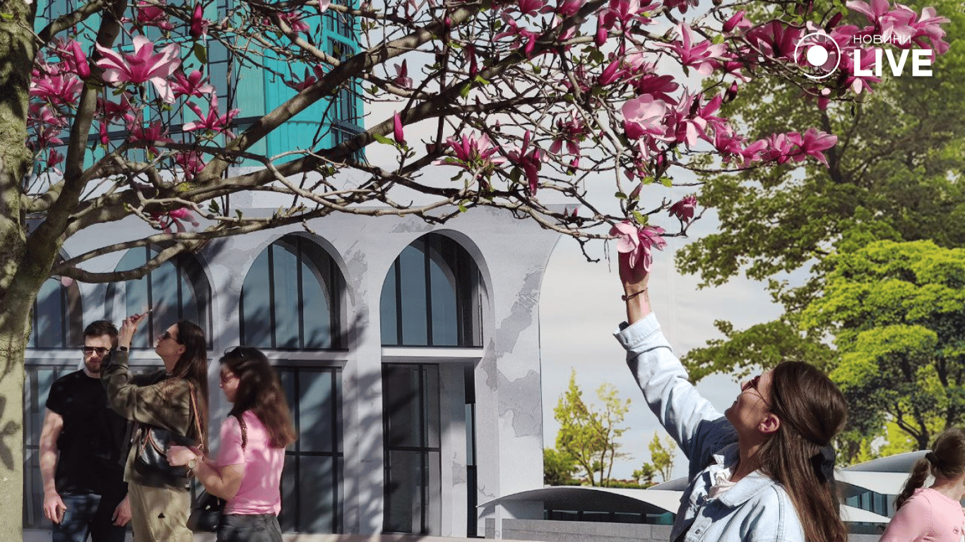 В Одеській Аркадії зацвіли магнолії — фоторепортаж - фото 2