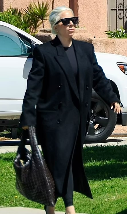 Леді Гага засвітила обручку