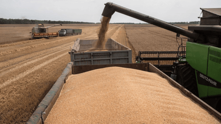 Ціни на зерно у червні — як змінилась вартість пшениці  в Україні - 285x160