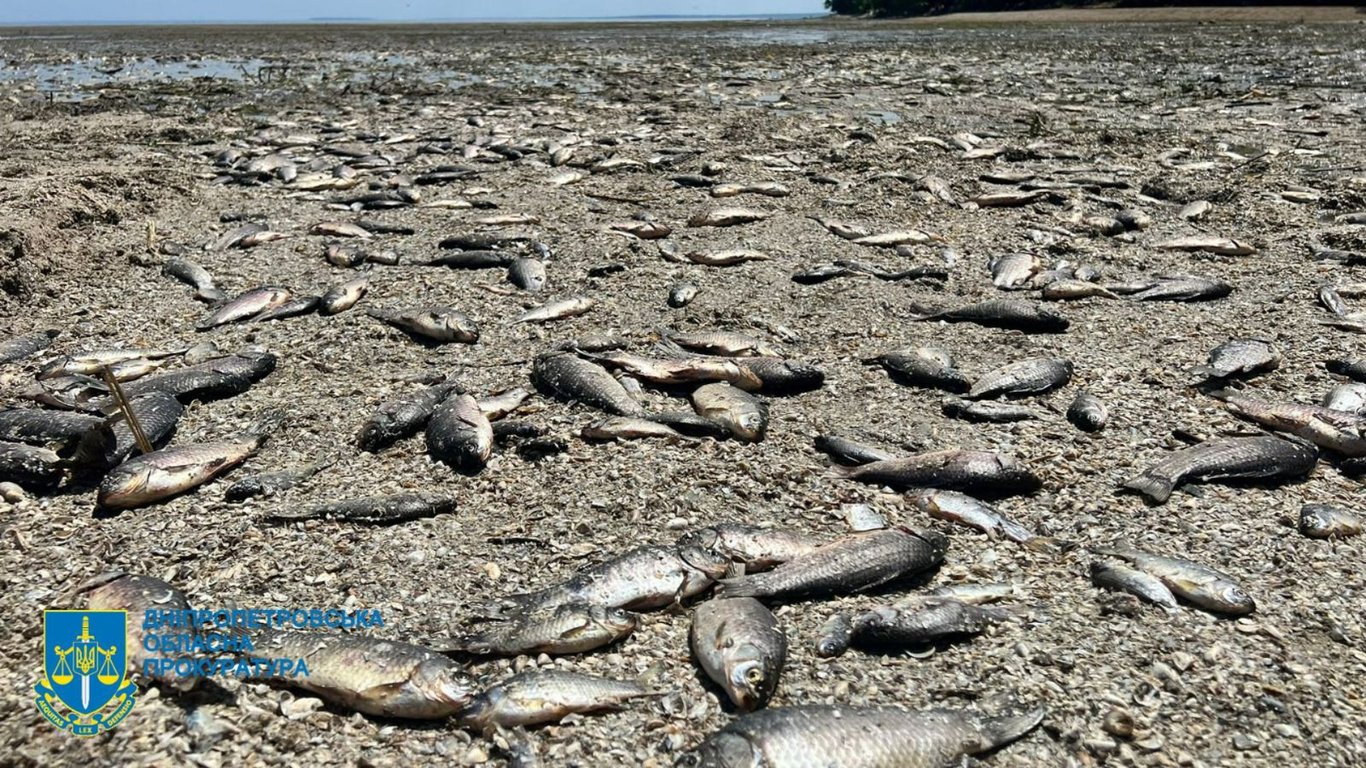 Ботулізм через дохлу рибу: ситуація на Дніпропетровщині
