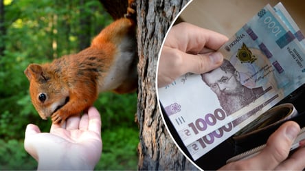 В Украине стартует "сезон тишины": все запреты для украинцев с 1 апреля - 285x160