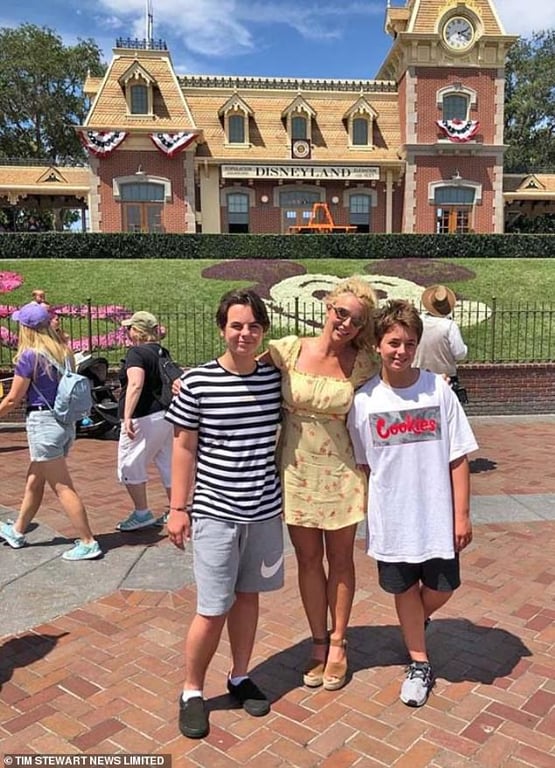 Экс-муж Бритни Спирс хочет от нее больше денег на сыновей - фото 2