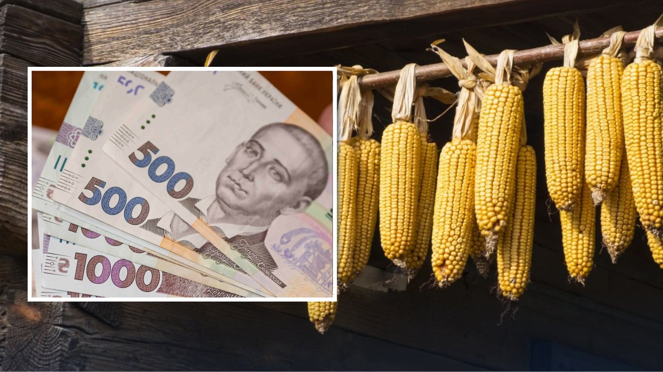 Цены на зерно в Украине: почему фуражная кукуруза стремительно прибавляет в цене