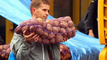 Цены на картофель в Украине пересмотрят: зимой ожидается подорожание до 40% - 285x160