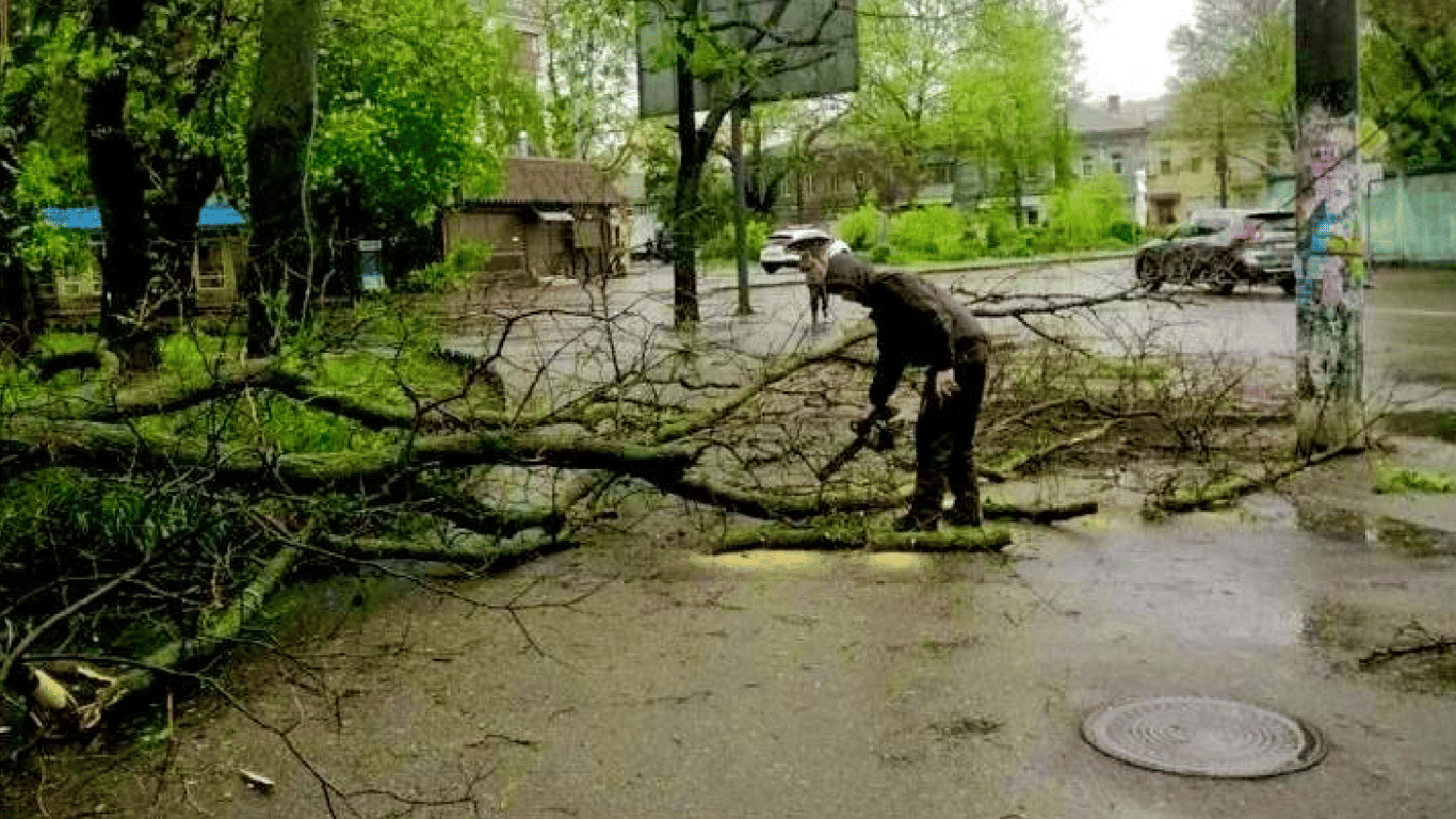 Деревопад та побиті автівки — в Одесі негода уже наробила біди - фото 4