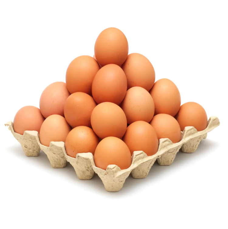 Большое количество яиц в корзине