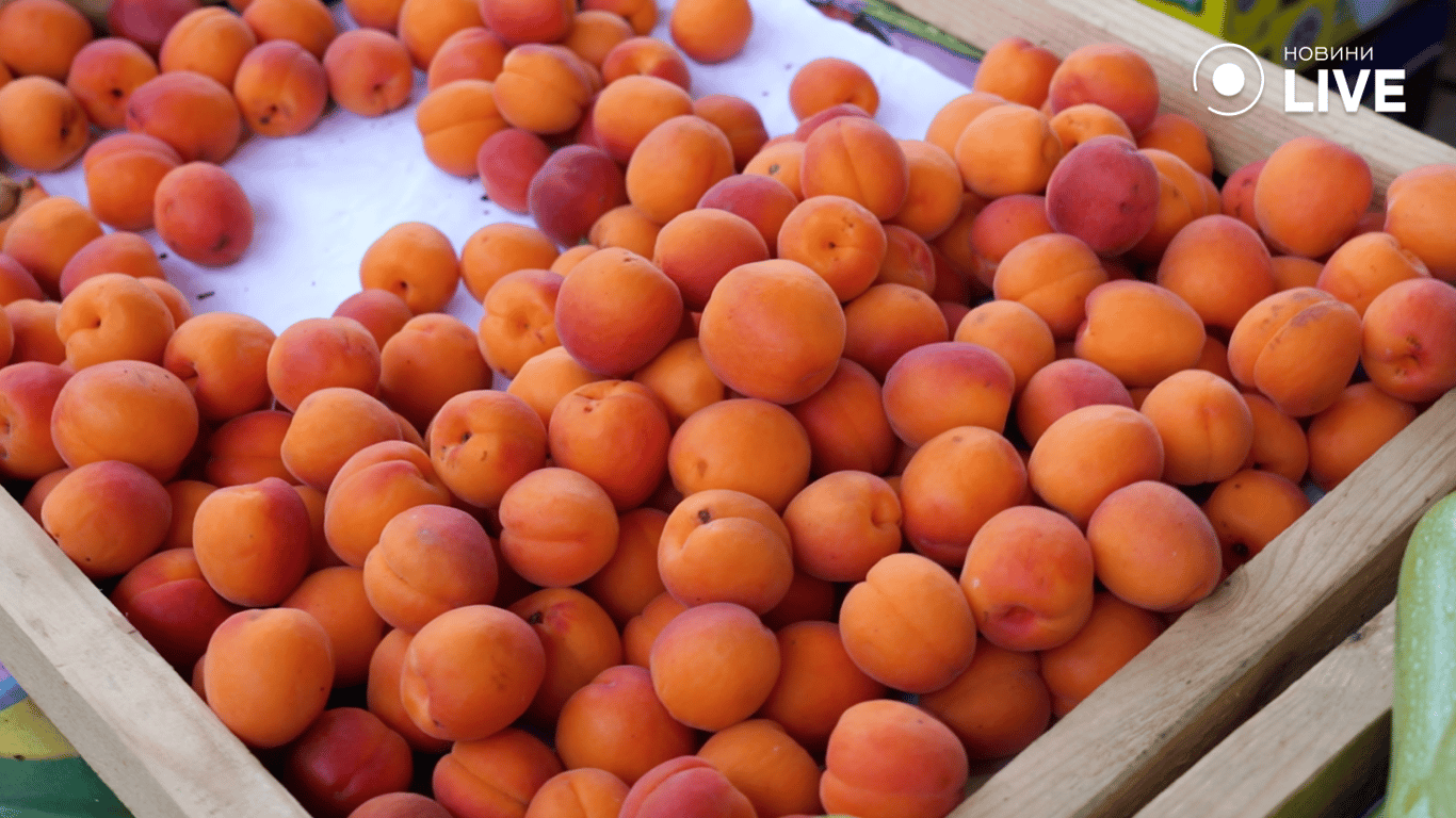 Одеська абрикоса