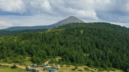 Вчені занепокоєні — яка небезпека загрожує "легеням" Землі - 285x160