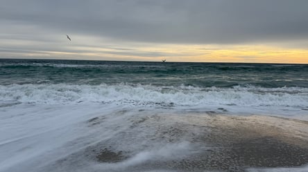 Стан води у Чорному морі — що показали аналізи - 290x166