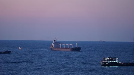 "Зернова угода": скільки суден вийшли з портів Одещини з літа - 285x160
