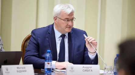 Украина различает белорусский народ и режим Лукашенко: Сибига в годовщину протестов в Беларуси - 290x166