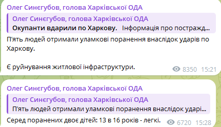 Скриншот дописів Олега Синєгубова